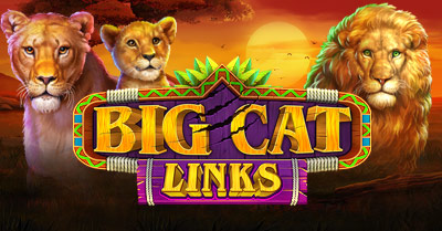 Play Big Cat Links